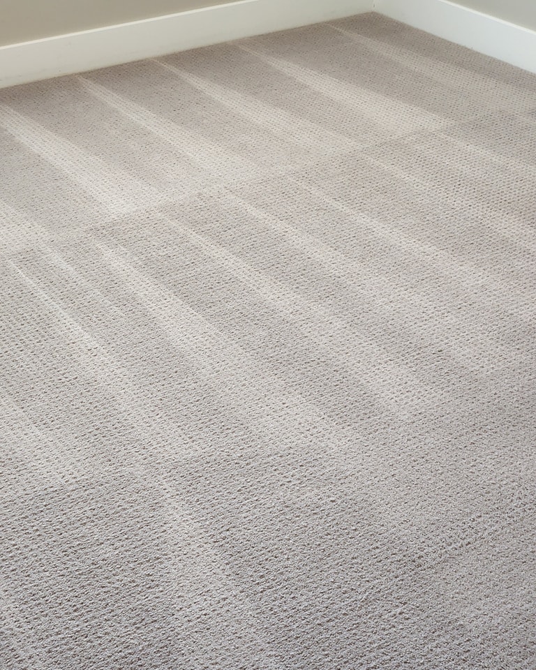 Recently cleaned carpet in Ogden Utah 